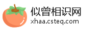 似曾相识网